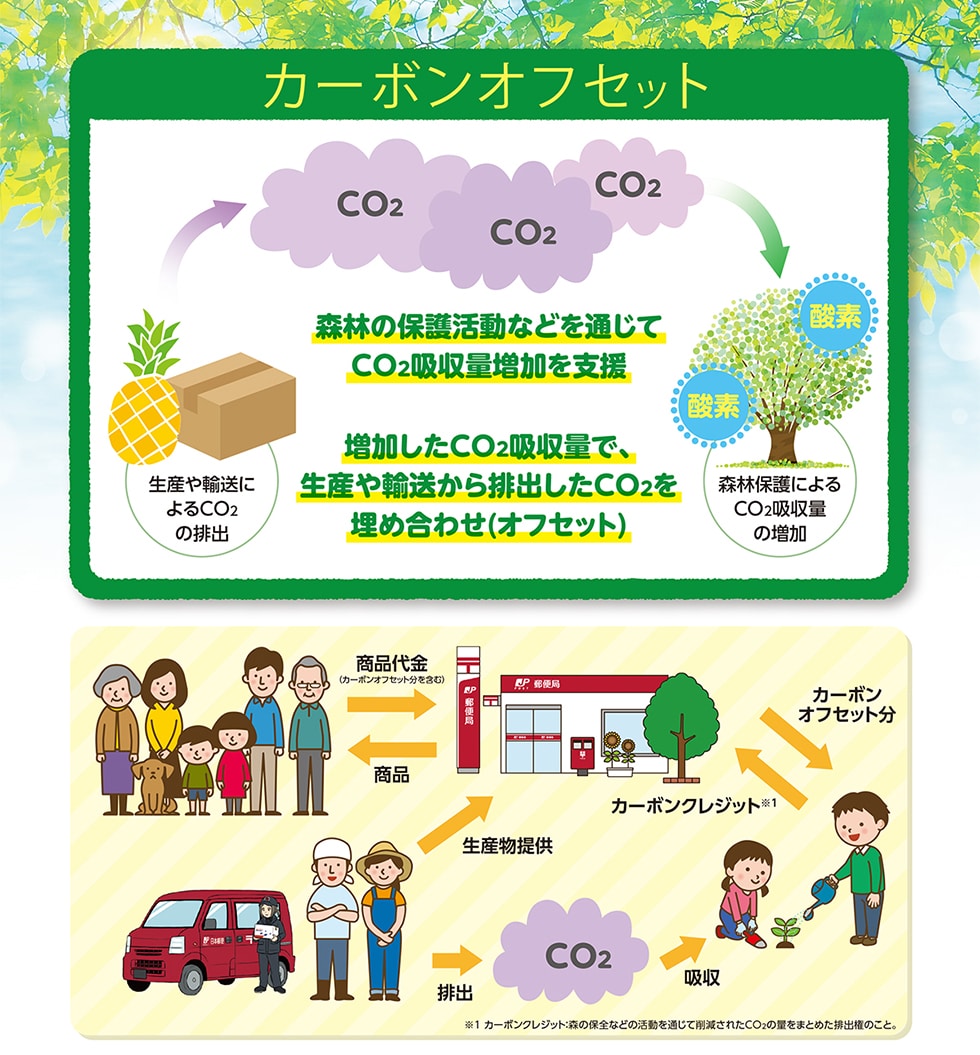 カーボンオフセット　森林の保護活動などを通じてCO2吸収量増加を支援