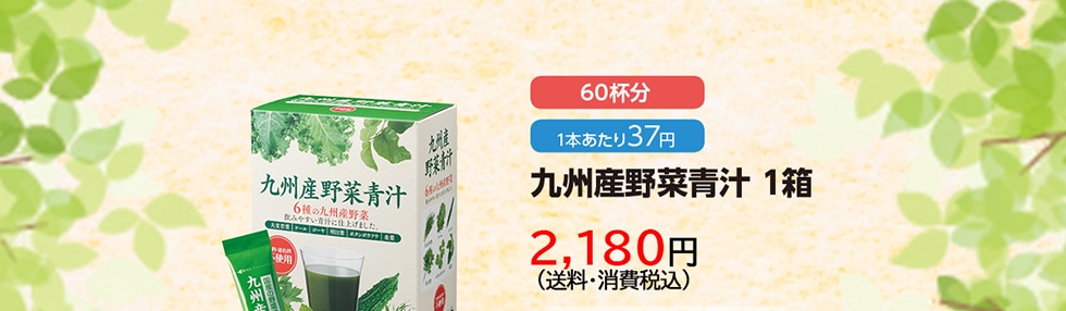 九州産野菜青汁1箱　2,180円（送料・消費税込）