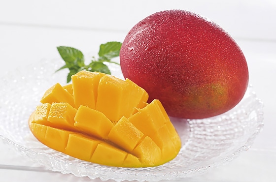 �{�茧�Y ���n�}���S�[