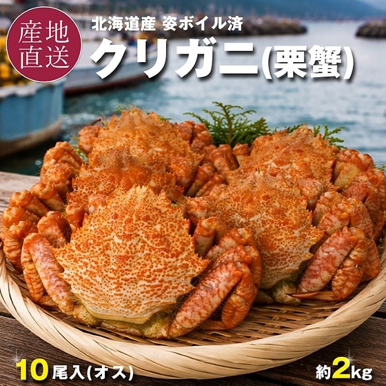【冷凍】クリガニ 北海道産 姿ボイル済 10尾 計2kg