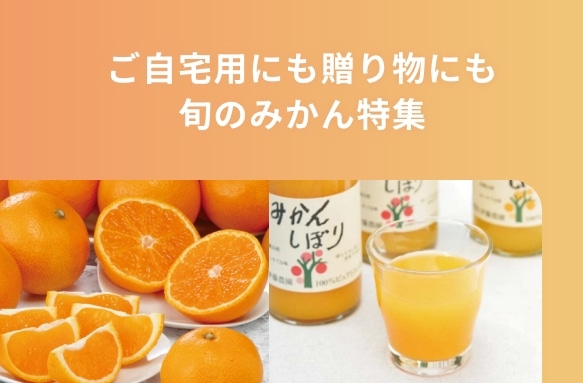 ������p�ɂ����蕨�ɂ��{�݂̂�����W
