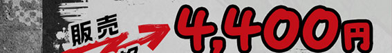 ̔i 4,400~(ʁAō)  
