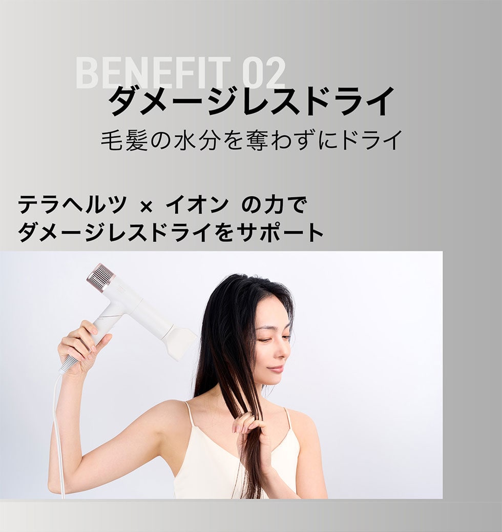 INGRACE Velena Hair Dryer｜郵便局のネットショップ