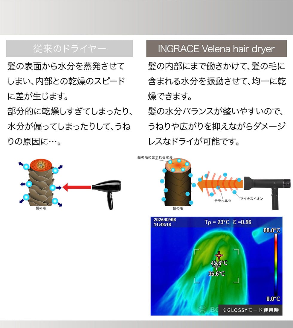 INGRACE Velena Hair Dryer｜郵便局のネットショップ