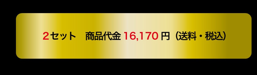 2�Z�b�g ���i��� 16,170�~�i�����E�ō��j