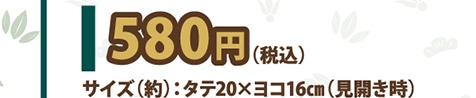 580円(税込)