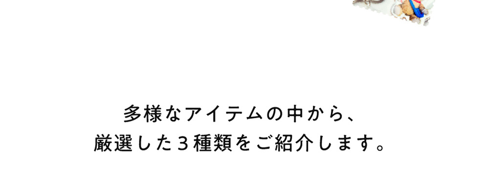 日本郵便公式 切手オリジナルグッズ｜郵便局のネットショップ