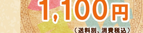 1,100円（送料別・消費税込）