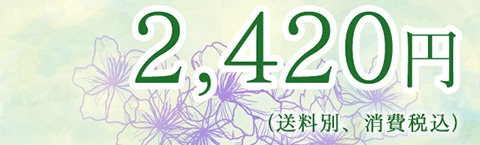 2,420円(送料別、消費税込)