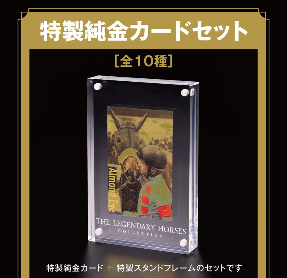 ���������J�[�h�Z�b�g[�S10��]���������J�[�h�{�����X�^���h�t���[���̃Z�b�g�ł�