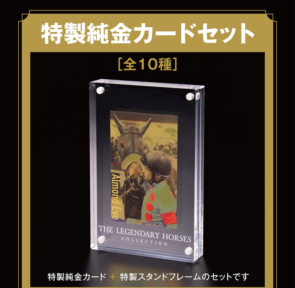���������J�[�h�Z�b�g[�S10��]���������J�[�h�{�����X�^���h�t���[���̃Z�b�g�ł�