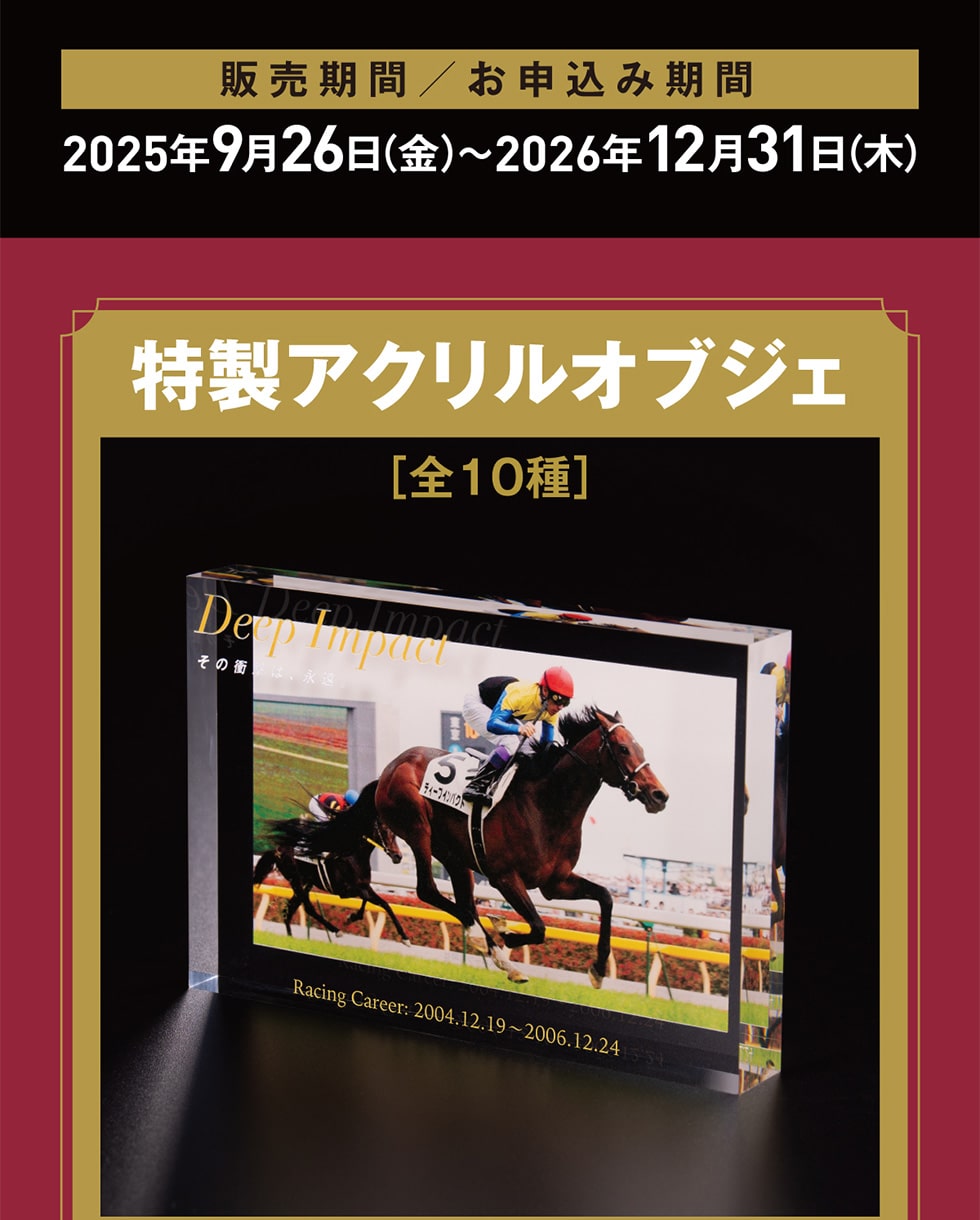 �̔����� / ���\���݊��� 2025�N9��26��(��)~2026�N12��31��(��) �����A�N�����I�u�W�F[�S10��]
