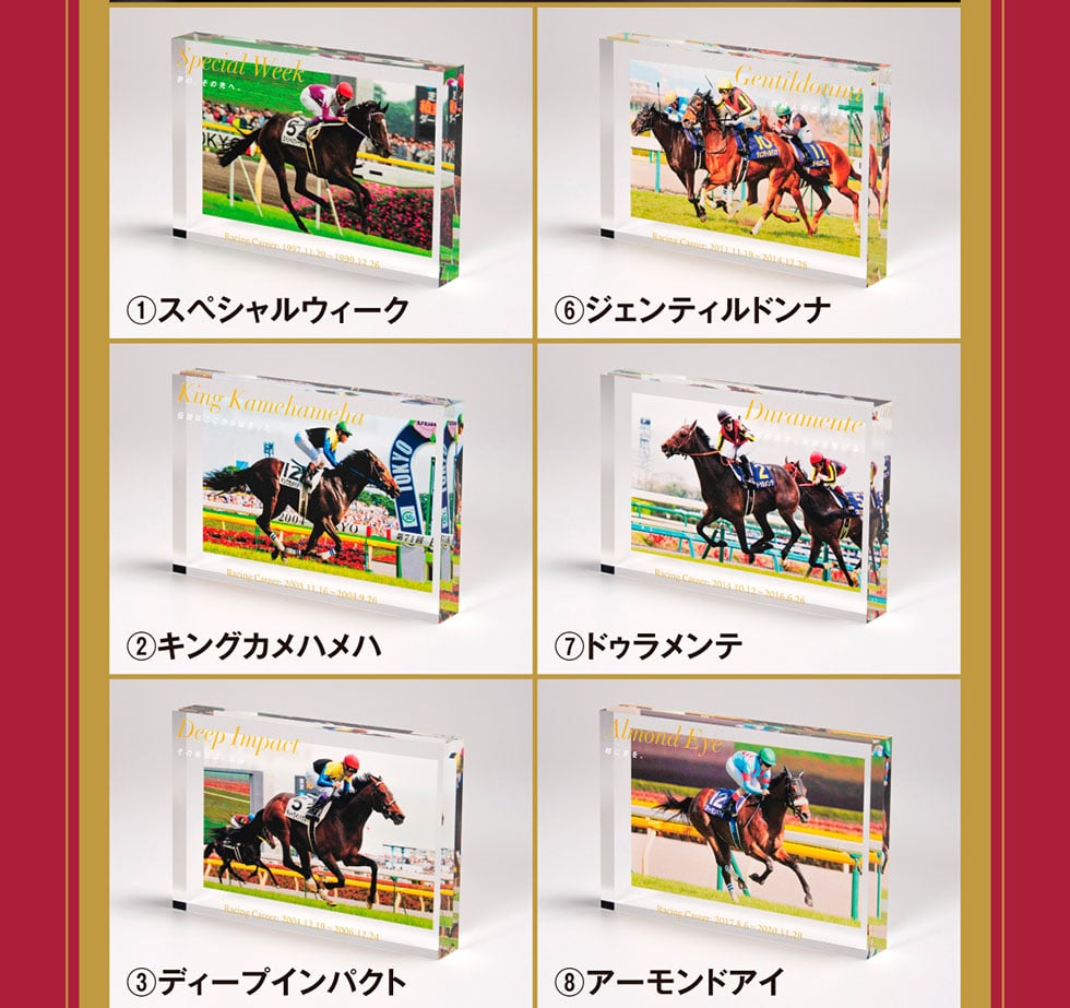 競馬 カード アルバム 大量 まとめて 中央 地方 名馬 伝説 競馬 カード アルバム 大量 まとめて 中央 地方 名馬 伝説