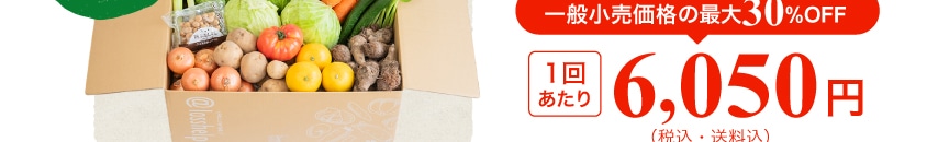 ��ʏ������i�̍ő�30%OFF 1�񂠂��� 6,050�~(�ō��E������)