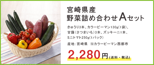宮崎県産野菜詰め合わせＡセット