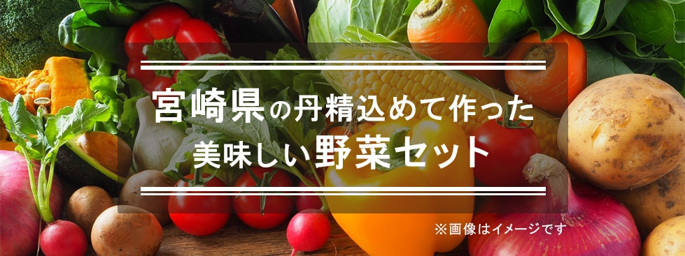 宮崎ブランドのおいしい野菜詰め合わせ｜郵便局のネットショップ