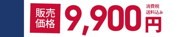�̔����i 9,900�~ ����ŁE��������