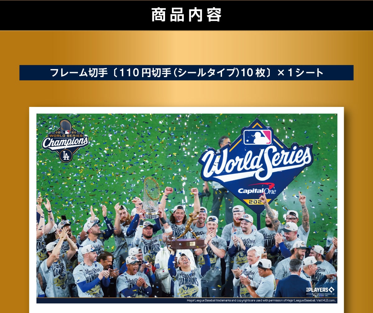 ie t[؎k110~؎iV[^Cvj10l~1V[g