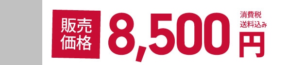 �̔����i 8,500�~ ����ŁE��������