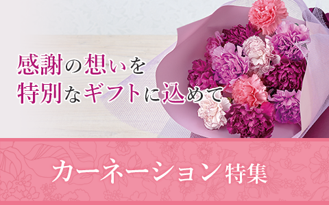 よっしー様専用ページ アートフラワー 母の日 退職祝い よっしー様専用ページ アートフラワー 母の日 退職祝い