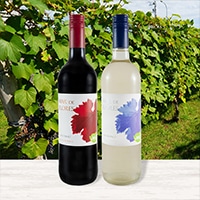 お酒(ビール・ワイン等)