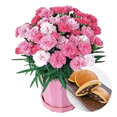 �J�[�l�[�V�����u�������\�t�g®�v�ƒ������I����݂����Z�b�g