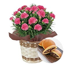 �s���N�̃J�[�l�[�V�����ƒ������I����݂����Z�b�g