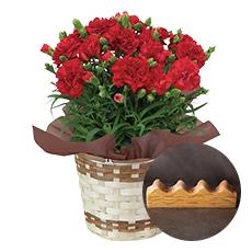 �Ԃ̃J�[�l�[�V�����Ƃ˂���ƃo�[���N�[�w���Z�b�g