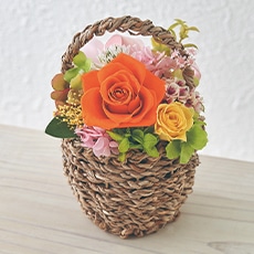 �v���U�[�u�h�t�����[�u�}���V�F�v