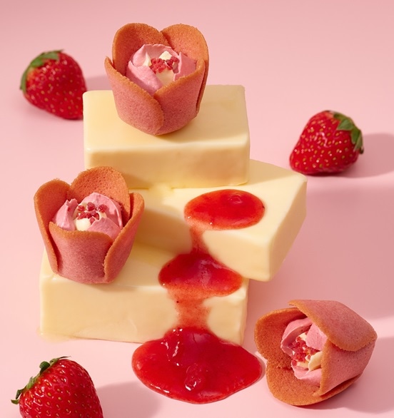 �G�ߌ���@�X�g���x���[�o�^�[