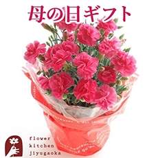 �J�[�l�[�V���� 5���� �s���N�i�i�킨�܂����j