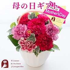 Mothers�A�����W �s���N�n
