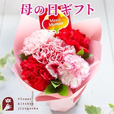 Mothers�u�[�P �s���N�n
