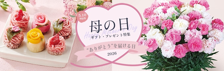 ��̓��M�t�g���W2026