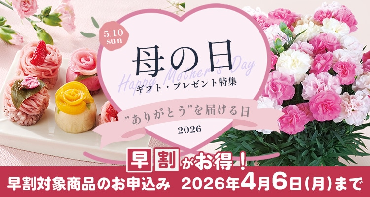 母の日ギフト・プレゼント特集2026｜郵便局のネットショップ