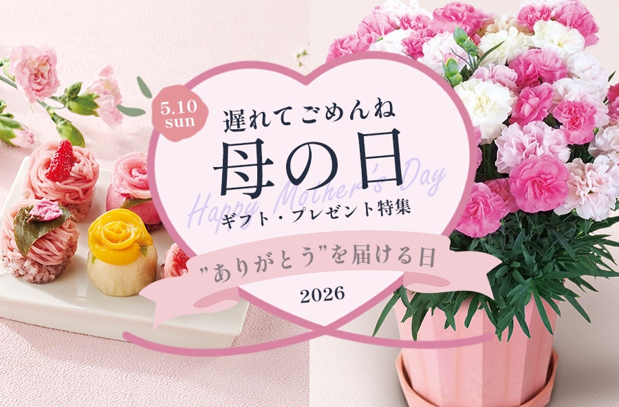 ��̓��M�t�g�E�v���[���g���W2026