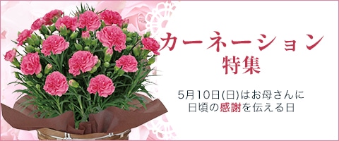 �����̊��ӂ����߂đ��� �J�[�l�[�V����