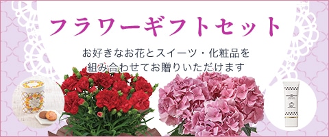 �t�����[�M�t�g�Z�b�g�@���D���Ȃ��ԂƃX�C�[�c��g�ݍ��킹�Ă����肢�������܂�