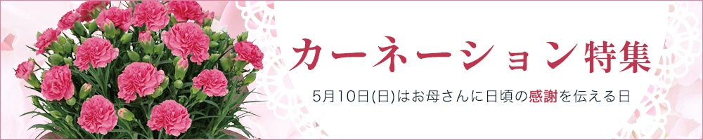 �����̊��ӂ����߂đ��� �J�[�l�[�V����