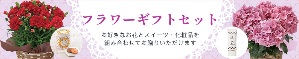 �t�����[�M�t�g�Z�b�g�@���D���Ȃ��ԂƃX�C�[�c��g�ݍ��킹�Ă����肢�������܂�