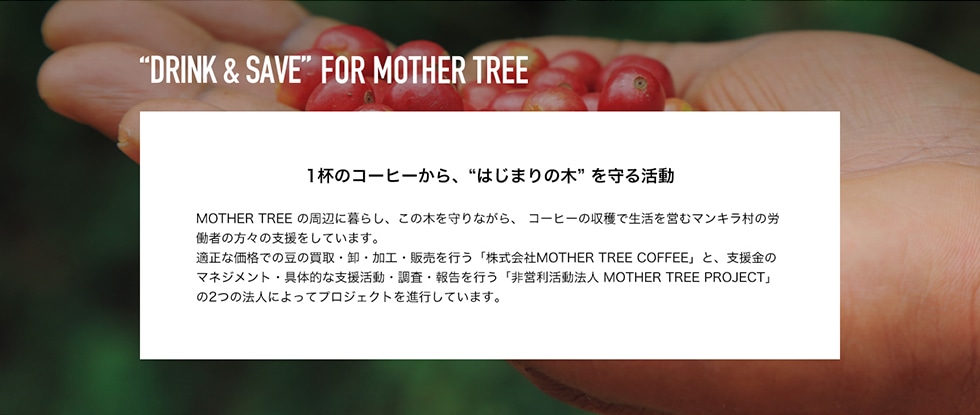 DRINK&SAVE FOR MOTHER TREE1杯のコーヒーから、“はじまりの木” を守る活動MOTHER TREEの周辺に暮らし、この木を守りながら、コーヒーの収穫で生活を営むマンキラ村の労働者の方々の支援をしています。適正な価格での豆の買取・卸・加工・販売を行う「株式会社MOTHER TREE COFFEE」 と、支援金の マネジメント具体的な支援活動・調査・報告を行う「非営利活動法人 MOTHER TREE PROJECT」の2つの法人によってプロジェクトを進行しています。