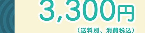 �̔����i3,300�~(�����ʁA����ō�)