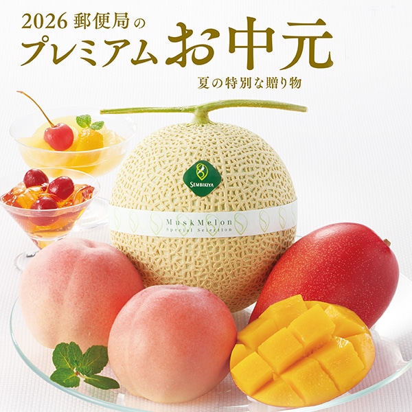 �v���~�A�����������W