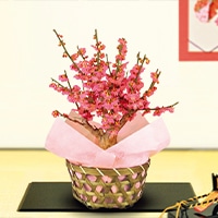 花の一覧はこちら