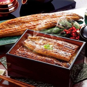 鹿児島県産 旨うなぎ蒲焼 2尾270g