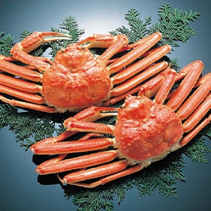 大ぶりのずわいがに(化粧箱)A