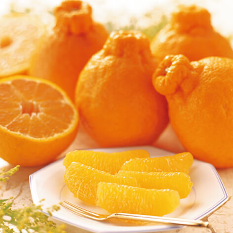 野菜・フルーツ類