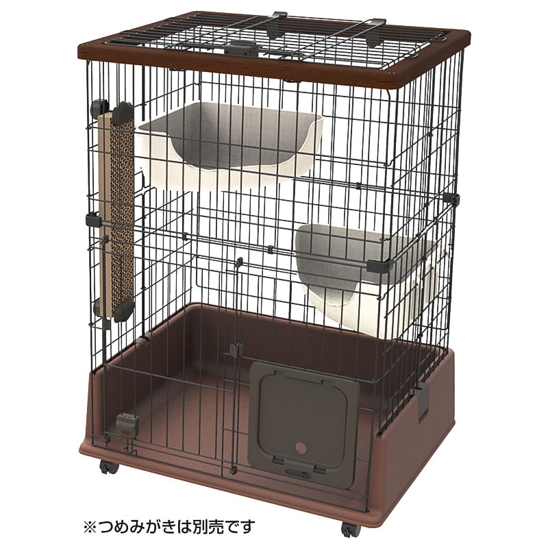 yiЉFLpznecoco eL̂ɂ҂ Lbg[T[N