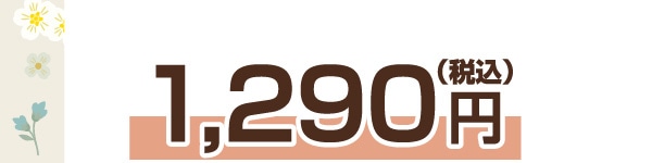 1,290�~�i�ō��j