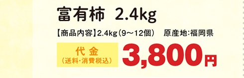 富有柿 2.4kg 代金3,800円